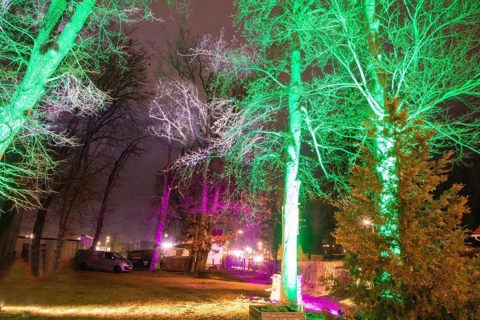 Biergarten Falkenstein